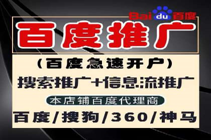 百度推广实战案例：成功之路